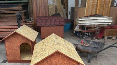 BESİM DUTLULU TALİMAT VERDİ: SOKAK HAYVANLARINA SICAK YUVA HAZIRLANIYOR