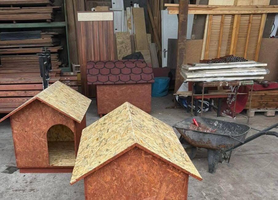 BESİM DUTLULU TALİMAT VERDİ: SOKAK HAYVANLARINA SICAK YUVA HAZIRLANIYOR