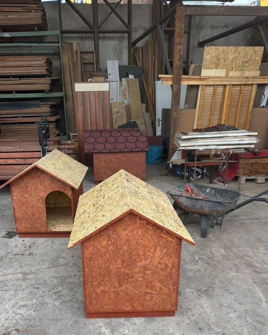 BESİM DUTLULU TALİMAT VERDİ: SOKAK HAYVANLARINA SICAK YUVA HAZIRLANIYOR